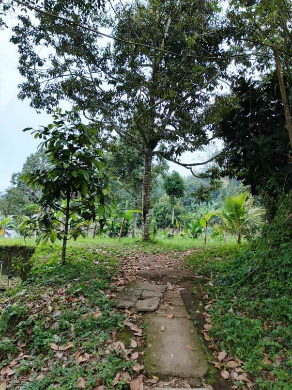 dijual tanah kebun 7880 m2 di baturiti tabanan bali