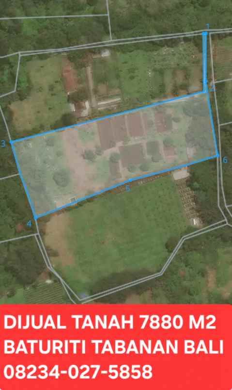 dijual tanah kebun 7880 m2 di baturiti tabanan bali