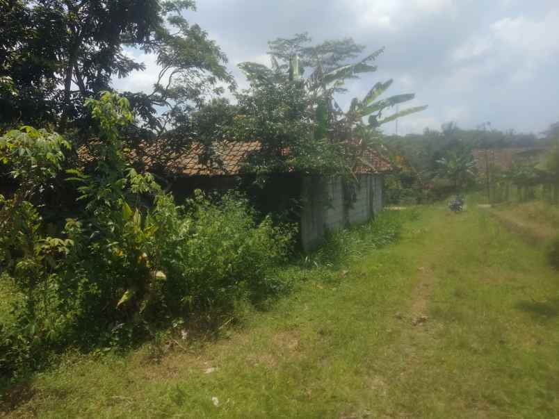 dijual tanah kebun akses jalan mobil