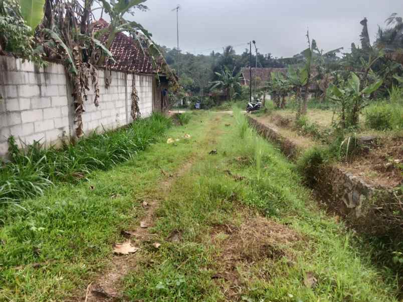dijual tanah kebun akses jalan mobil