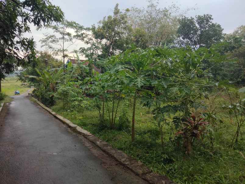dijual tanah kebun akses jl mobil lingkungan penduduk