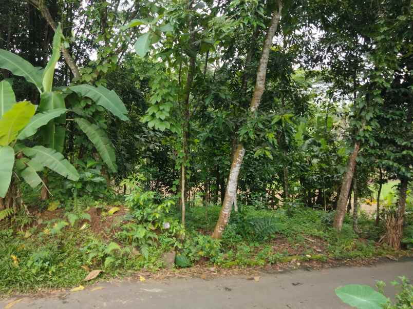 dijual tanah kebun pinggir jalan desa