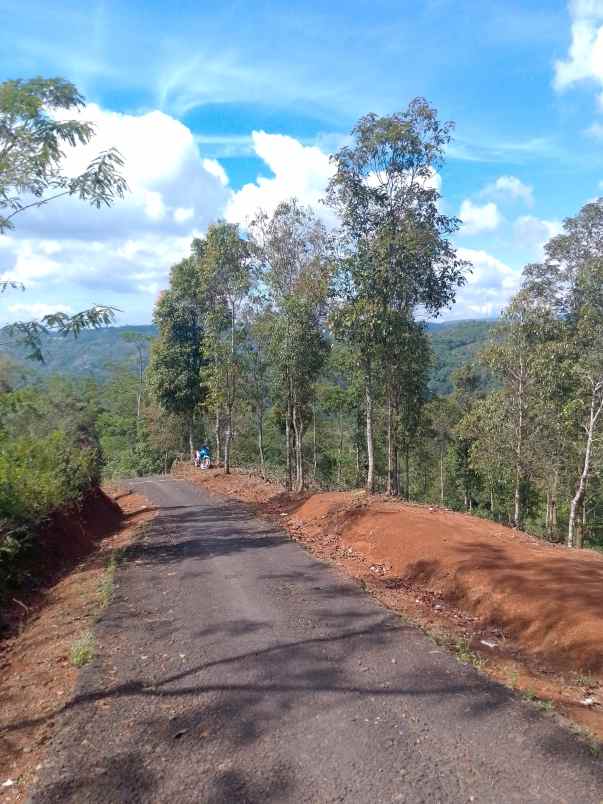 dijual tanah kebun produktif pinggir jalan