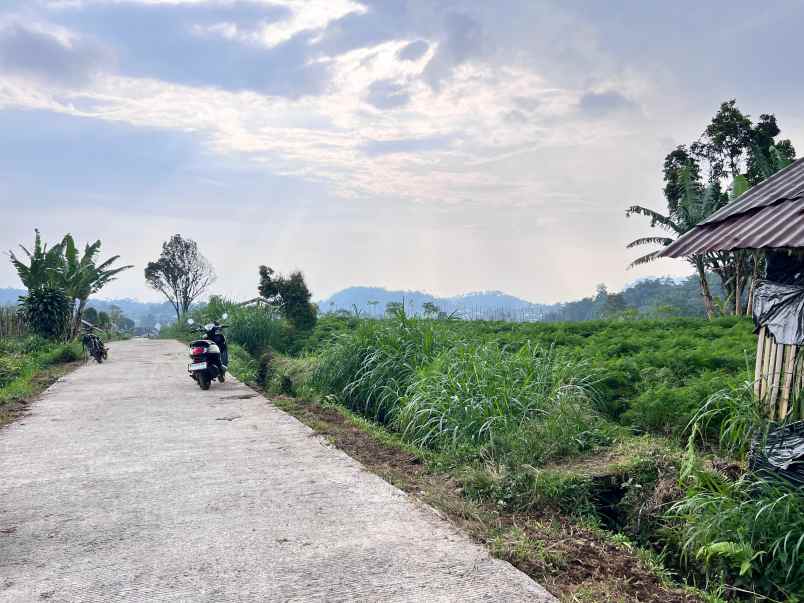 dijual tanah kemuning ngargoyoso