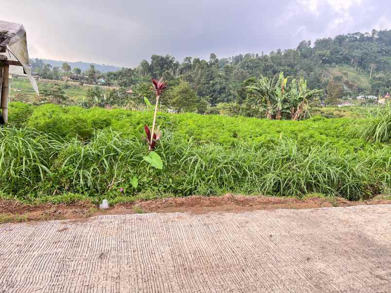 dijual tanah kemuning ngargoyoso