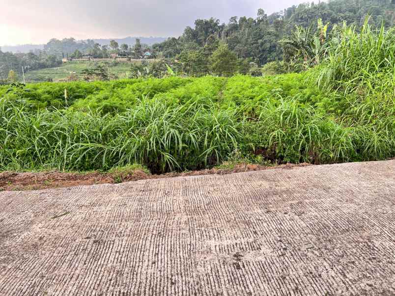 dijual tanah kemuning ngargoyoso