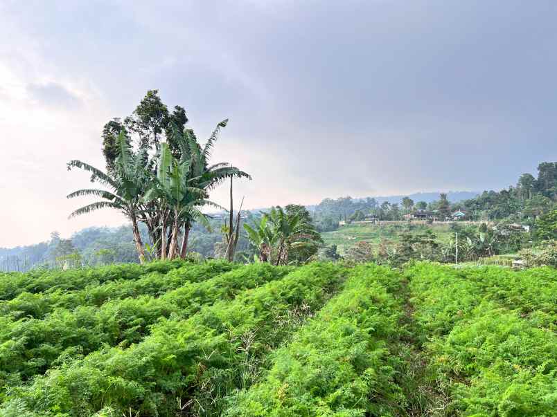 dijual tanah kemuning ngargoyoso