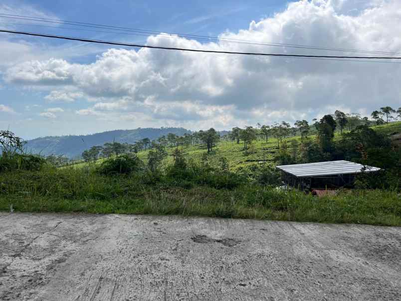 dijual tanah kemuning ngargoyoso