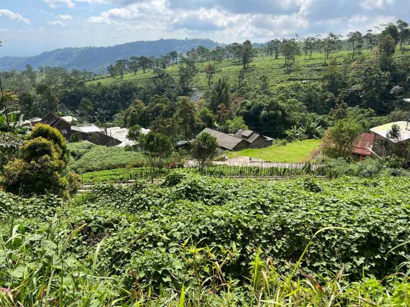 dijual tanah kemuning ngargoyoso