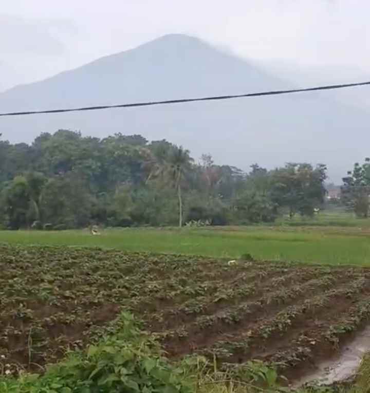 dijual tanah komersil pinggir jalan baru kuningan