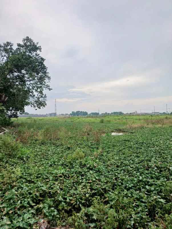 dijual tanah kp jati ilir 1 tunggakjati