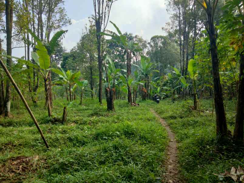 dijual tanah linggarjati kab kuningan