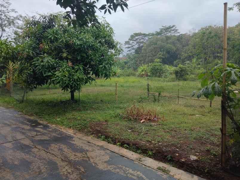 dijual tanah lingkungan pemukiman rumah penduduk