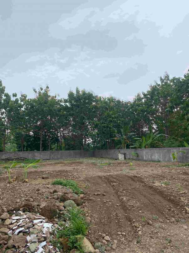 dijual tanah meteseh