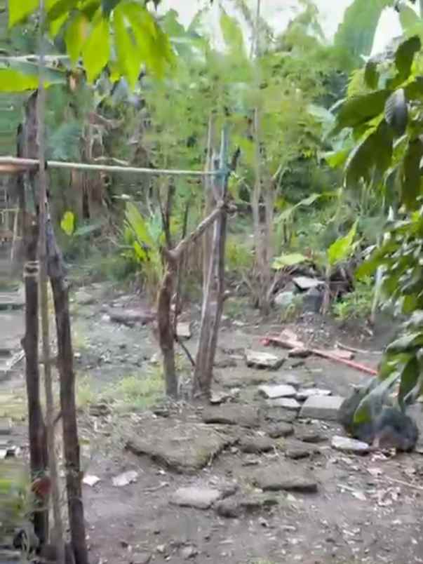 dijual tanah monang maning