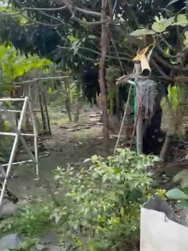 dijual tanah monang maning