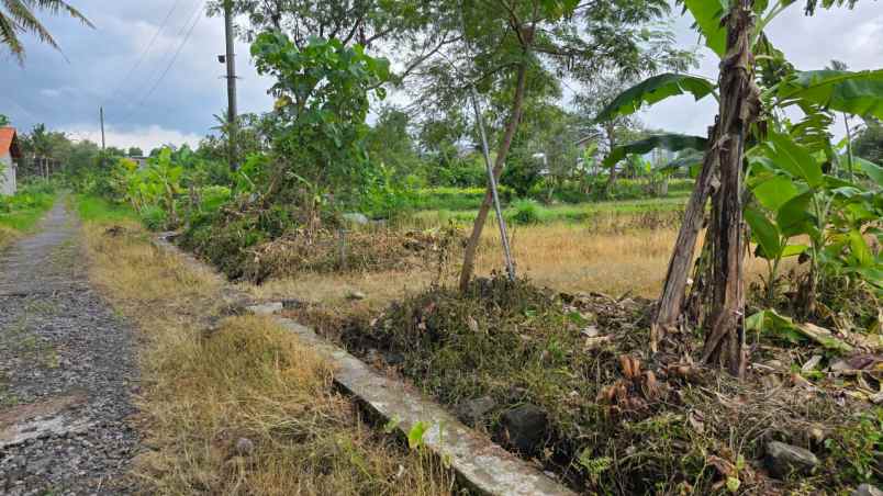 dijual tanah murah kaliurang untoro