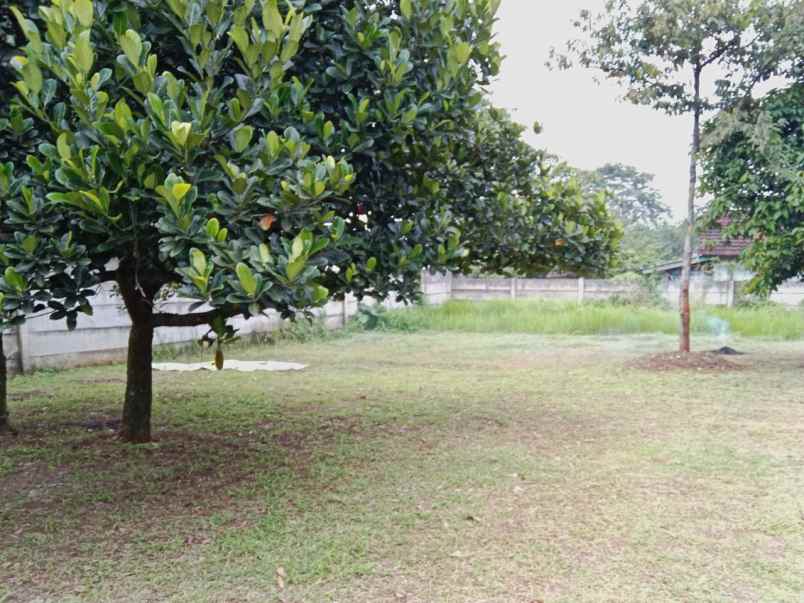 dijual tanah murah shm langsung pemilik