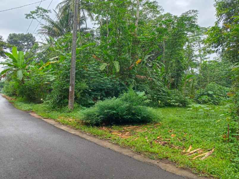 dijual tanah pageraji kec cilongok