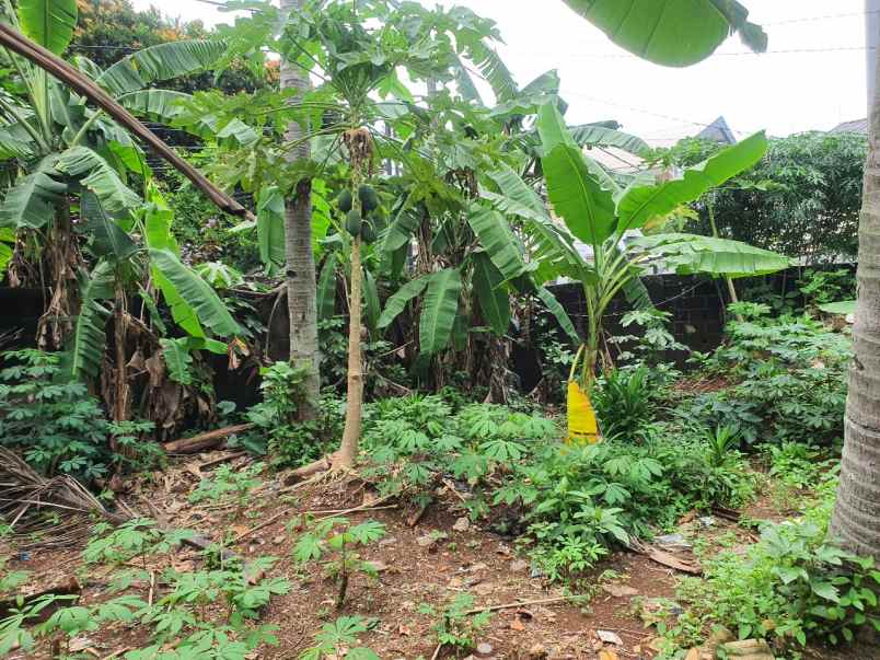 dijual tanah pancoran mas bekasi jawa barat