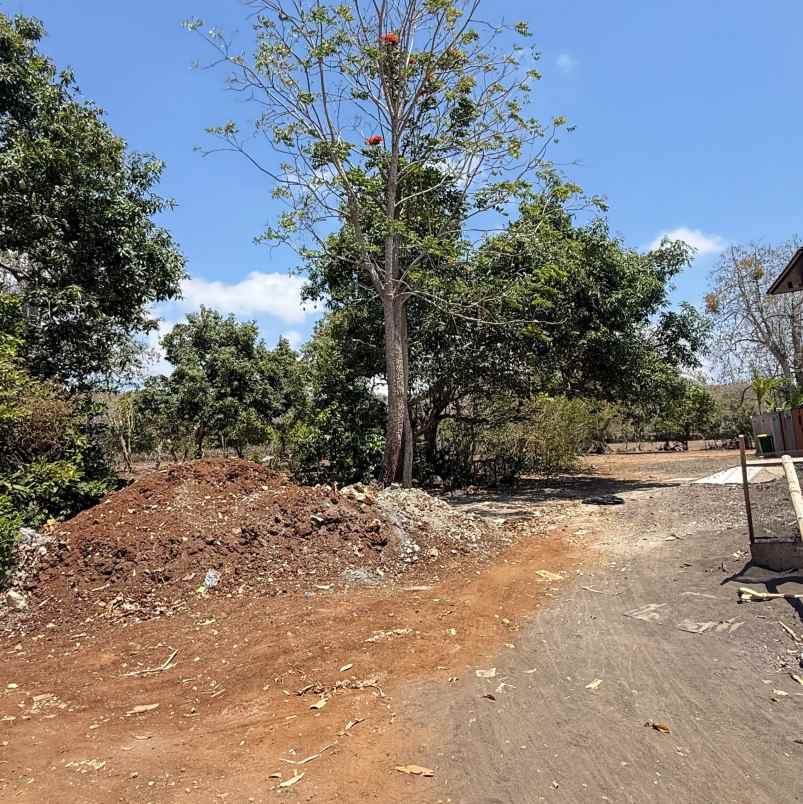 dijual tanah pantai balangan