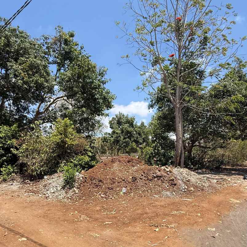 dijual tanah pantai balangan