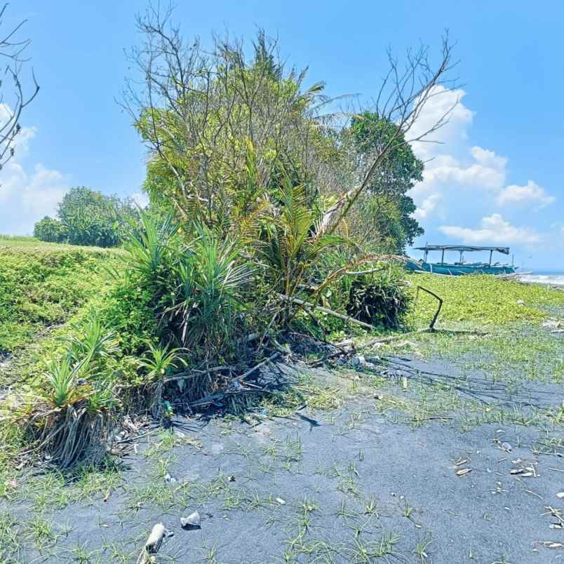 dijual tanah pantai tegalombo