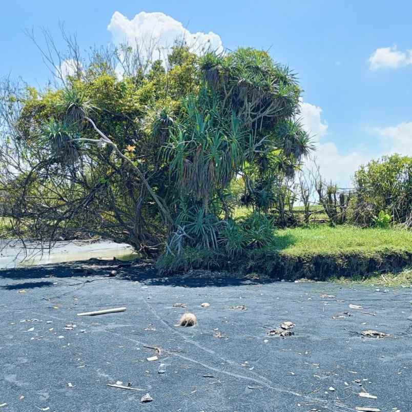 dijual tanah pantai tegalombo