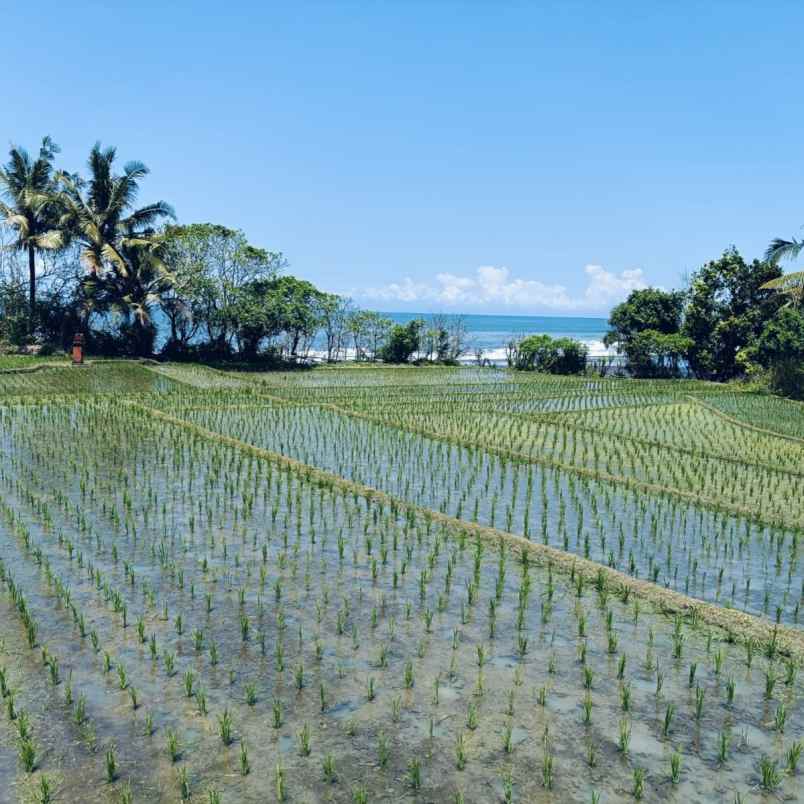 dijual tanah pantai tegalombo