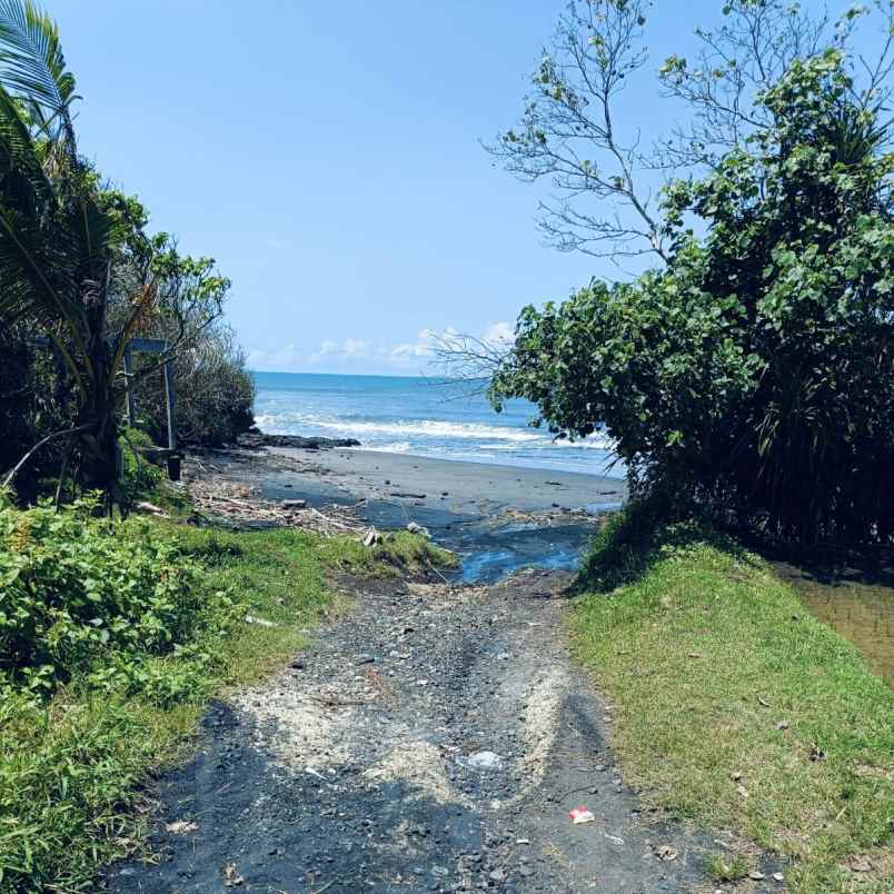 dijual tanah pantai tegalombo