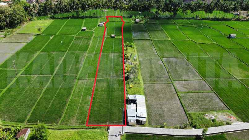 dijual tanah peliatan