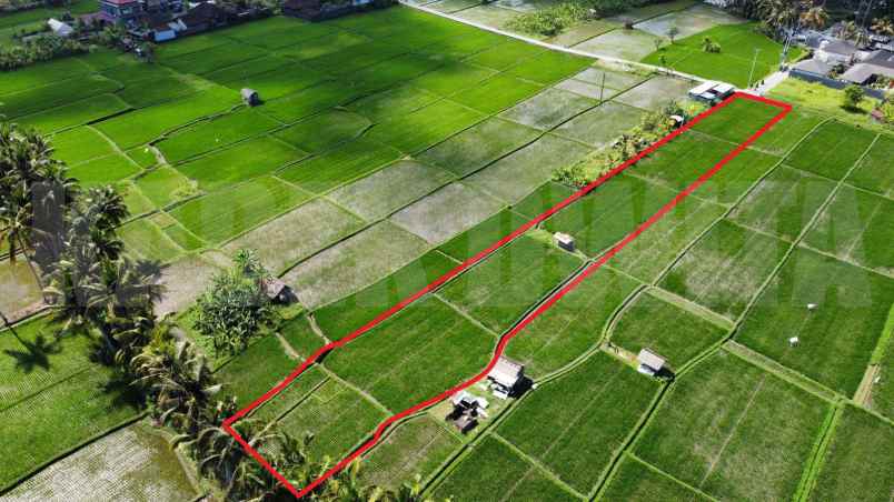 dijual tanah peliatan