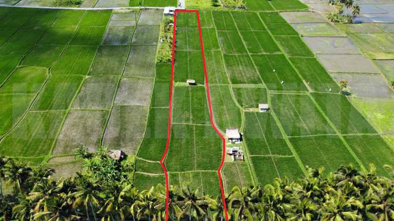 dijual tanah peliatan