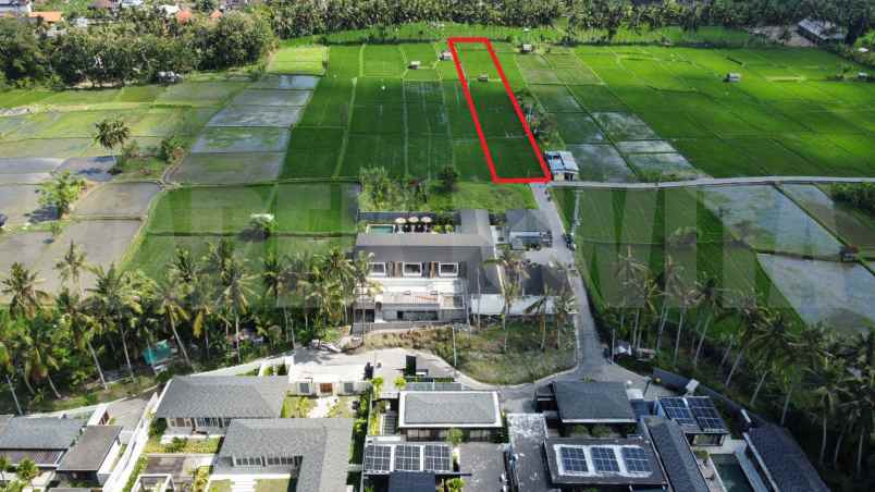 dijual tanah peliatan