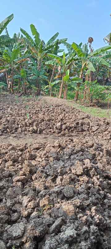 dijual tanah perumahan bumi citra lestari