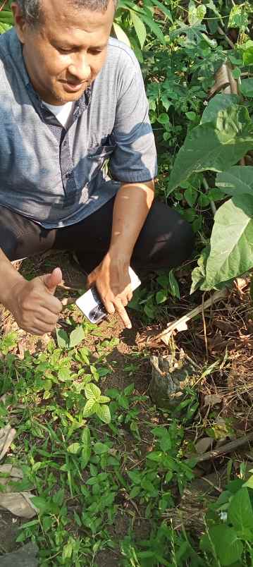 dijual tanah perumahan bumi citra lestari
