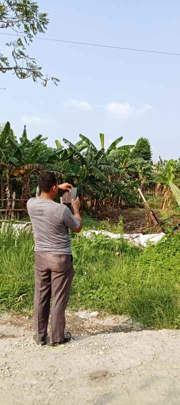 dijual tanah perumahan bumi citra lestari