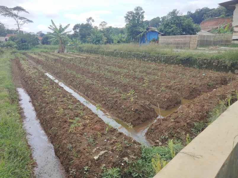 dijual tanah pinggir jalan di perbatasan beber cilimus