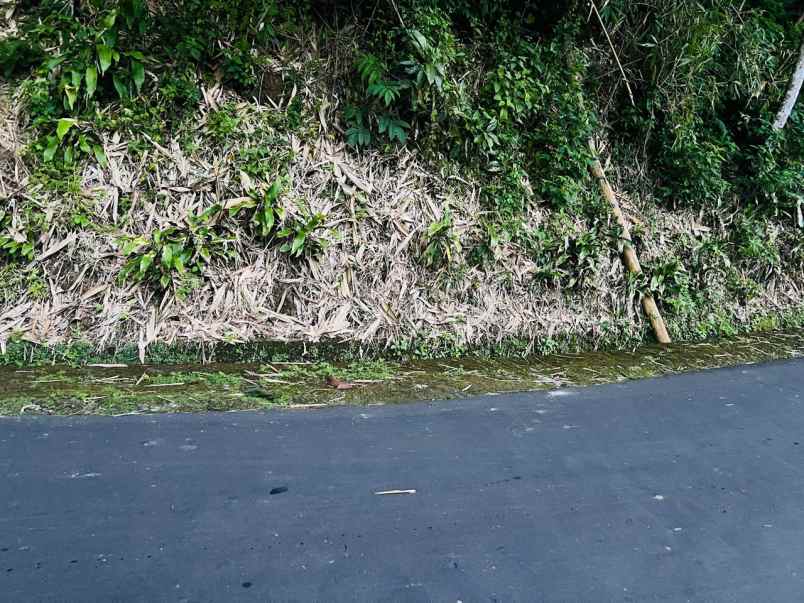 dijual tanah pinggir jalan dpu