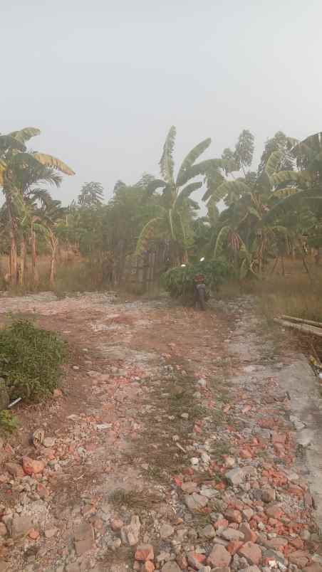 dijual tanah rawakalong