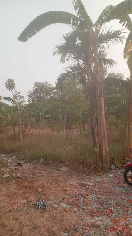 dijual tanah rawakalong