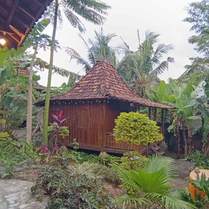 dijual tanah raya tangeb