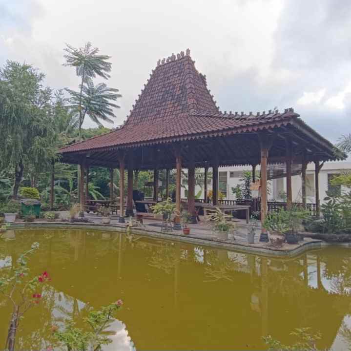 dijual tanah raya tangeb