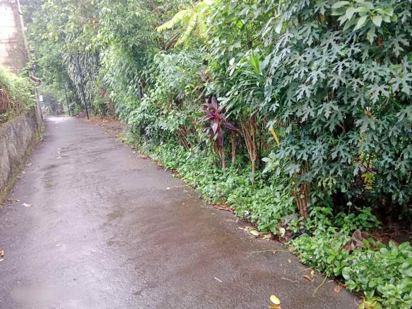 dijual tanah sawah lama ciputat