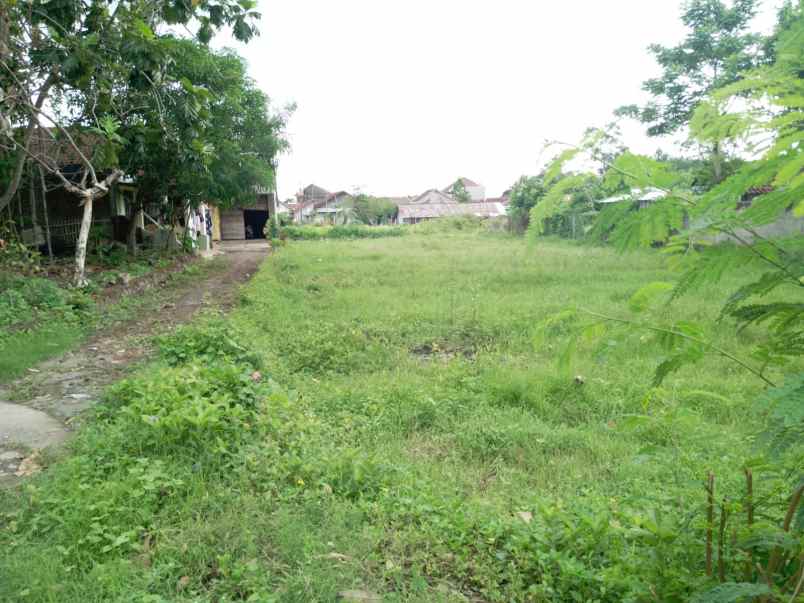 dijual tanah sendangtirto berbah sleman