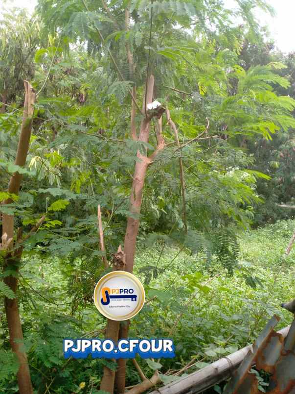 dijual tanah setia asih