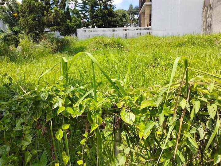 dijual tanah setraduta