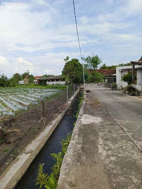 dijual tanah sewon