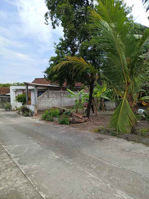 dijual tanah sewon