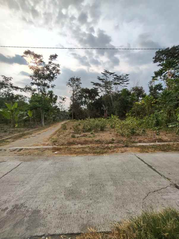 dijual tanah sleman